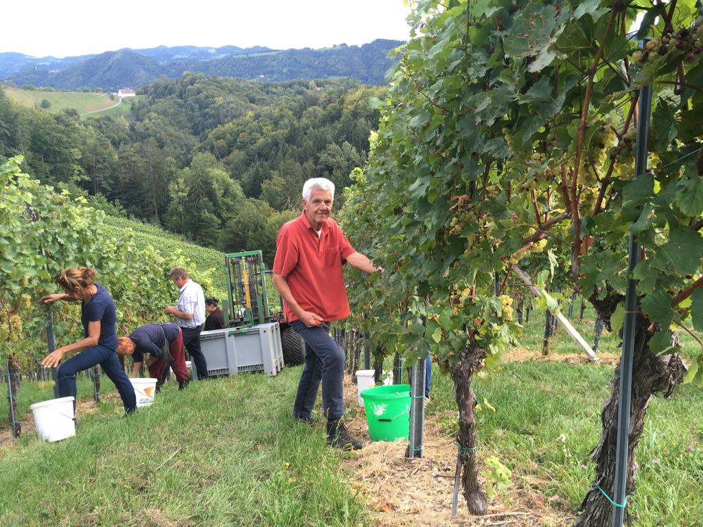 30 Steirisches Weinfest Im EKZ Biesenfeld Linz Termine