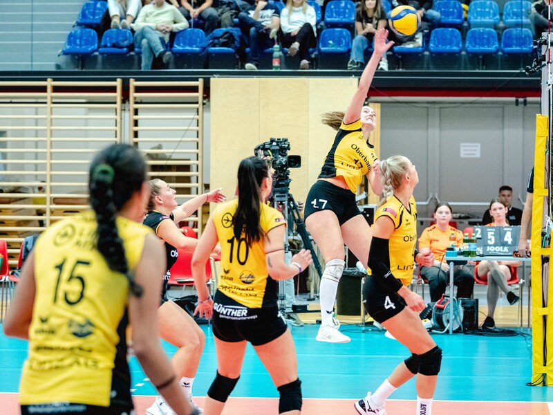 Steelvolleys Linz Steg vs. ASKÖ Volksbank Purgstall