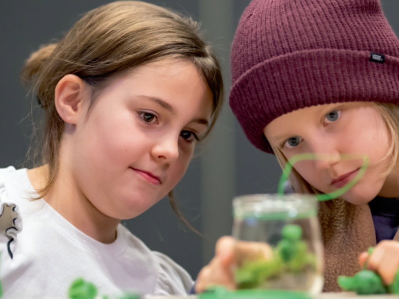 Waldreich: Der Wald und Wir!