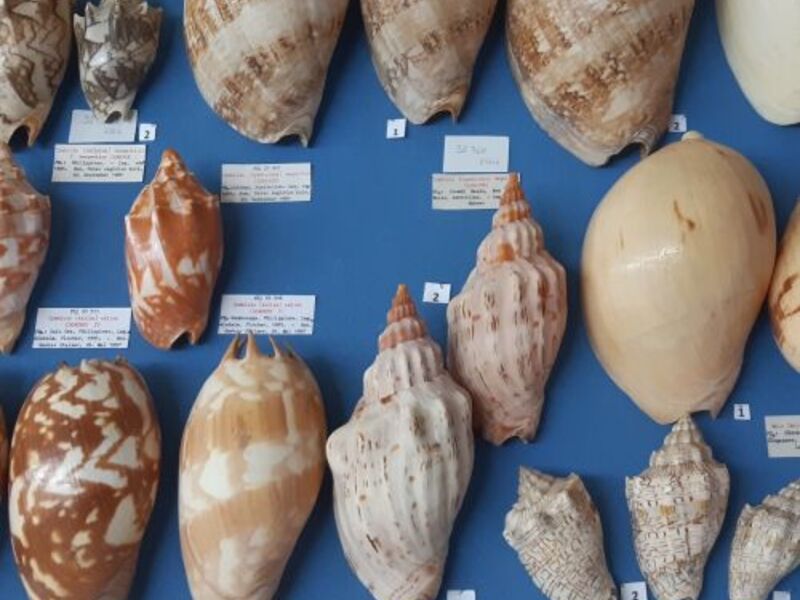 Neues aus Wissenschaft und Forschung