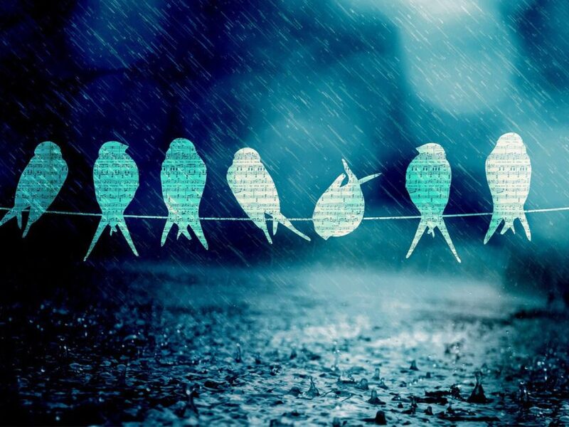 Geschichten und Klänge