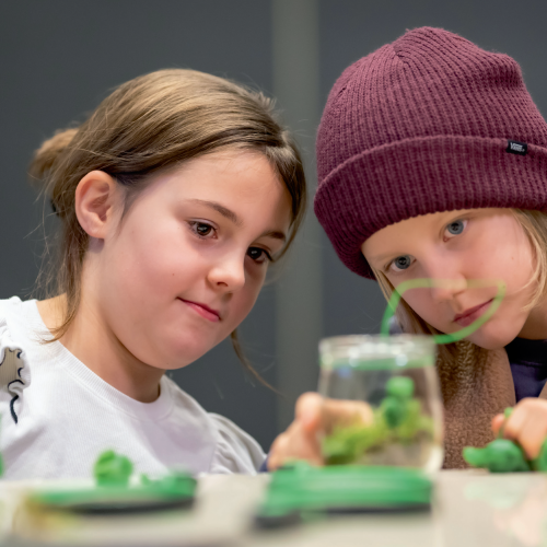 Waldreich: Der Wald und Wir!