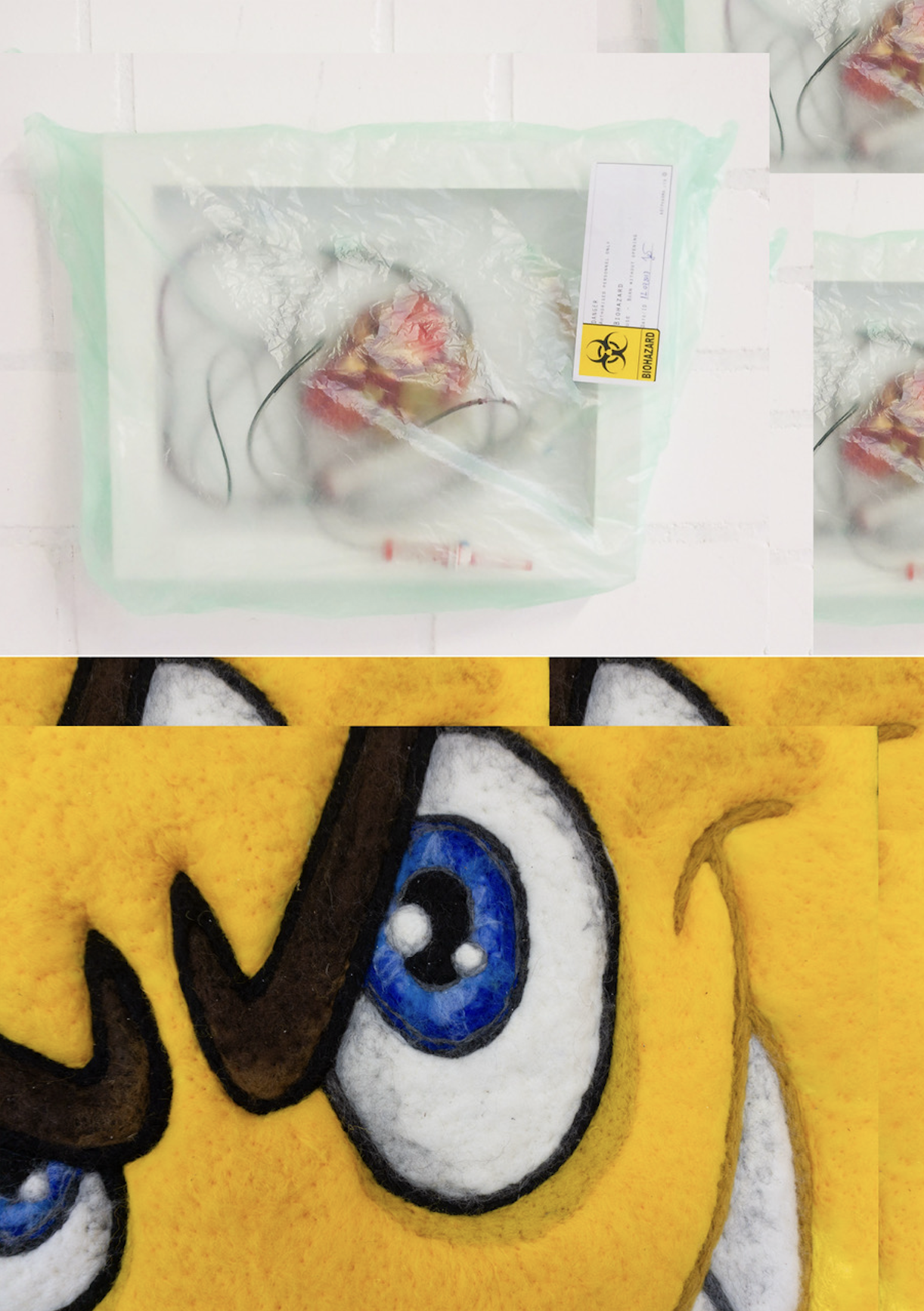 JE Schumi, Lucia Mattes: Host System(s)