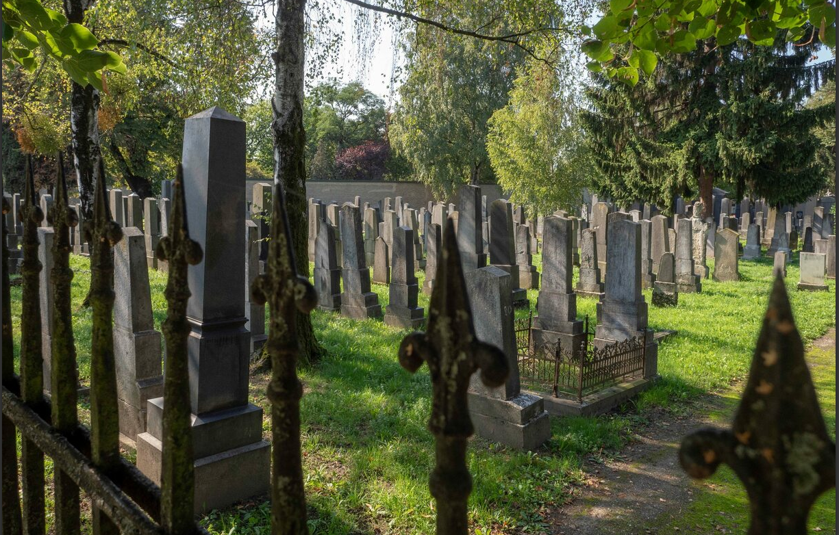image_0