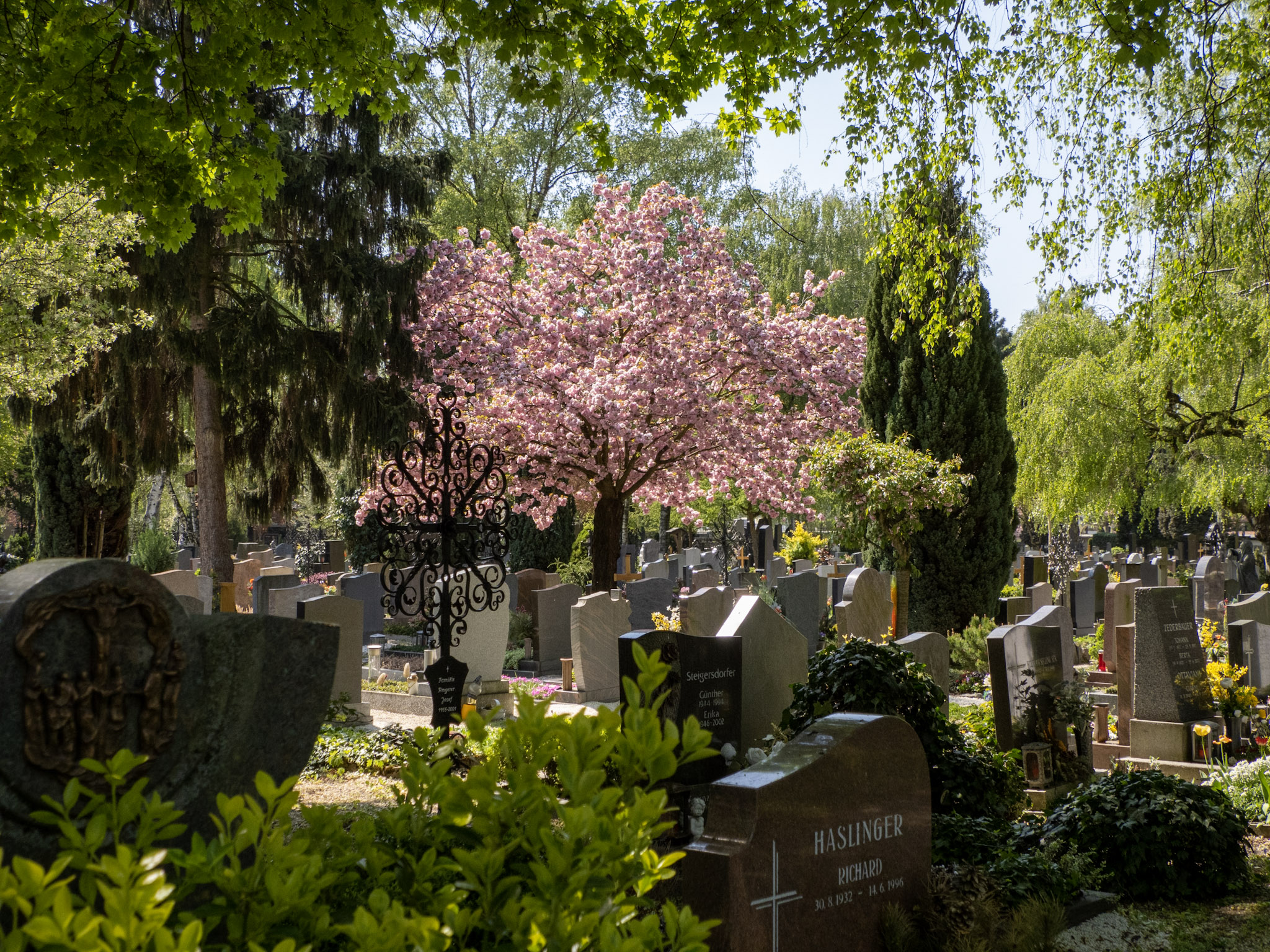 image_0