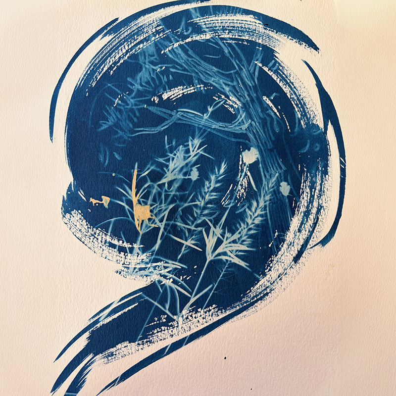 image_0