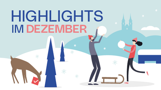 Linz erleben im Dezember 2025