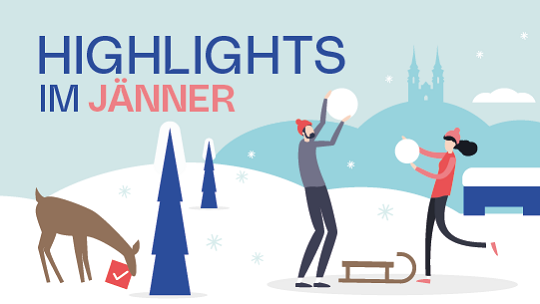 Linz erleben im Jänner 2026