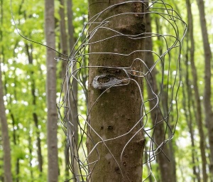 #five: Im Einklang mit der Natur und den Jahreszeiten