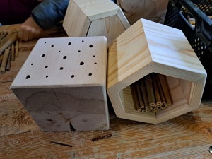 Wir bauen ein Haus für Wildbienen