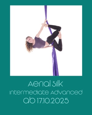 Aerial Silk Intermediate/Advanced