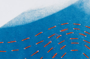 Facetten 2025 – Literarisches Jahrbuch der Stadt Linz – Präsentation