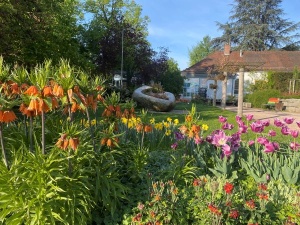 Frühjahrserwachen im Botanischen Garten