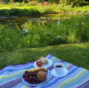 Familienpicknick im Botanischen Garten