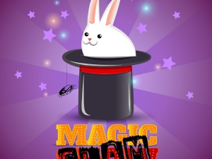 Magic Slam - Wettstreit der Magier*innen