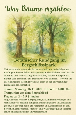 Was Bäume erzählen – Botanischer Rundgang im Bergschlösslpark