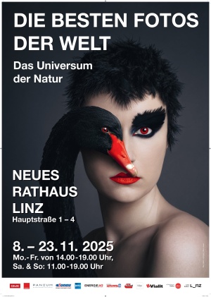 Die besten Fotos der Welt 2025