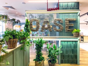 Adventkonzert: Fröhliche Weihnacht überall