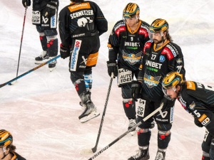 Steinbach Black Wings Linz vs. Vienna Capitals
