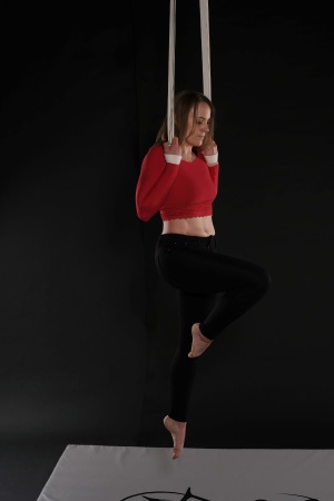 Aerial Straps Beginnerkurs