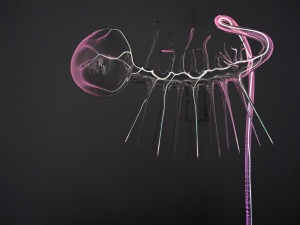 The World Wit­hout Us