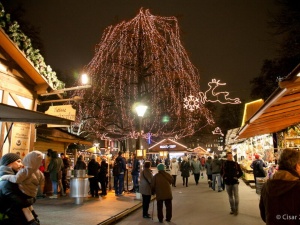Veranstaltungen am Weihnachtsmarkt im Volksgarten