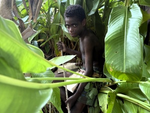 Die Magie versteckter Inselperlen