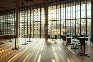 Topolina beim Frisör