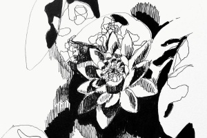 Sandra Lafenthaler: Nymphaea.  Botanische Tuschezeichnungen