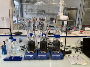 Dr. Sebastian Gfellner: Grenzen des Lebens auf der Erde