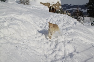 Auf Weltreise mit dem Zoo Linz