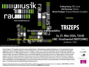 TRIZEPS - Ein audiovisuelles Dreiecksverhältnis