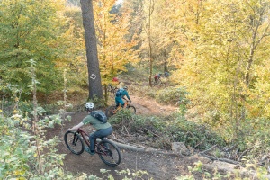 Pfenningberg-Trails | Wochenend Fahrtechnikkurse und Tourenguiding auf den UpperTrails Strecken