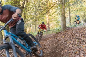 Pfenningberg-Trails | Mountainbike-Fahrtechnikkurse und Tourenguiding auf den UpperTrails MTB-Strecken