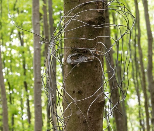 #five: Im Einklang mit der Natur und den Jahreszeiten