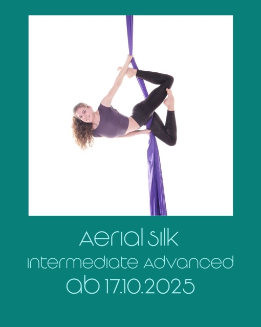 Aerial Silk Intermediate/Advanced