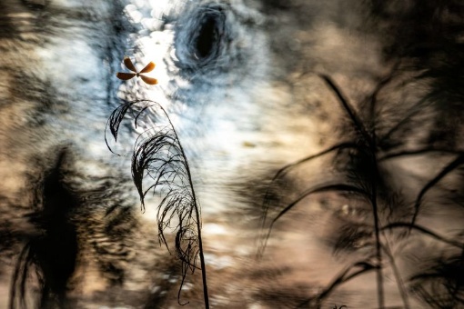 Rupert Kogler: Natürliche Nähe – Linz' verborgene Aura