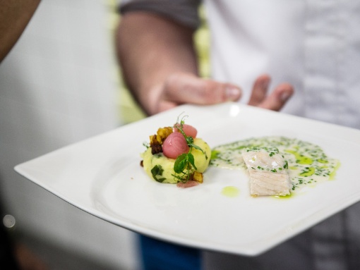 Culinary Art Festival