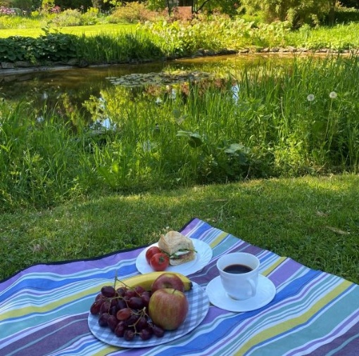 Familienpicknick im Botanischen Garten