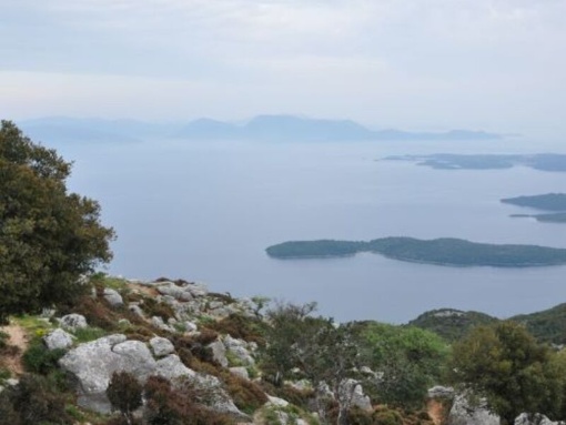 Von Roten Listen und der Pflanzen­welt der Ionischen Inseln