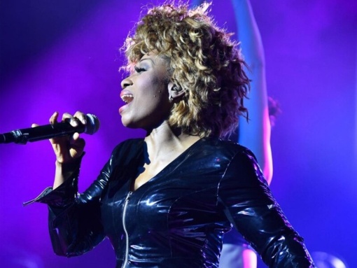 Simply the Best – Die Tina Turner Story