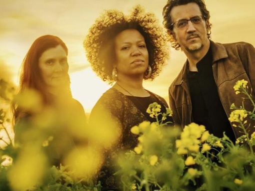 Maerz_jazz: The Lotus Flower Trio