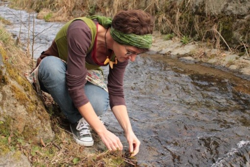 (Un-)Kraut am Wegesrand