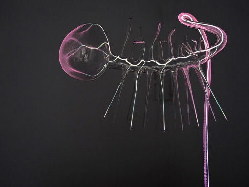 The World Wit­hout Us