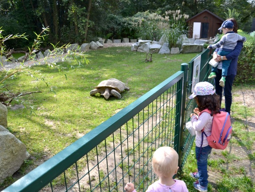 Halloween für Mensch und Tier