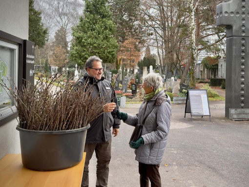 Barbarazweig zum Mitnehmen