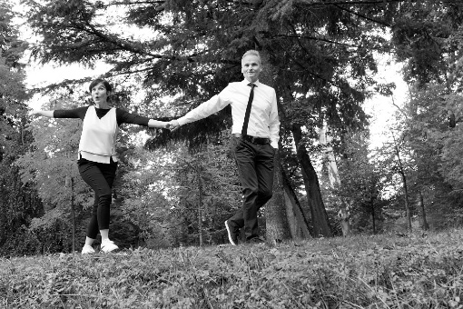 die zebras auf Wanderschaft