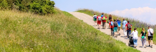 Gutes GEHEN für alle – Was tun Sie eigentlich, Frau Fußgängerbeauftragte?