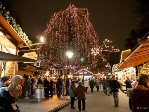 Veranstaltungen am Weihnachtsmarkt im Volksgarten