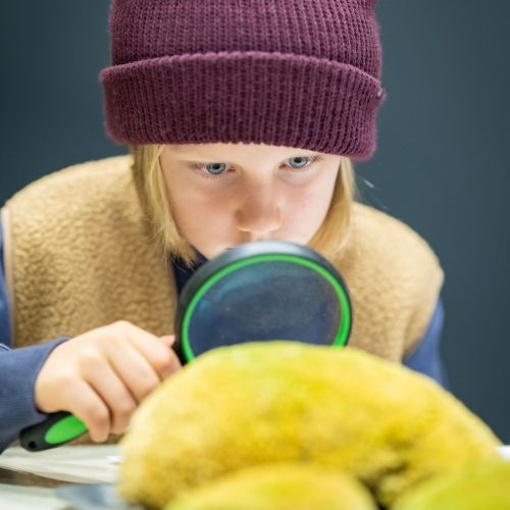 Familiensonntag: Osterüberraschung